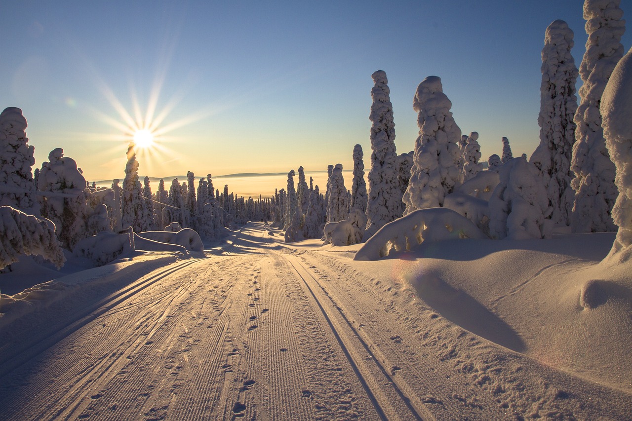 Esplorazione della Lapponia Finlandese in 6 giorni